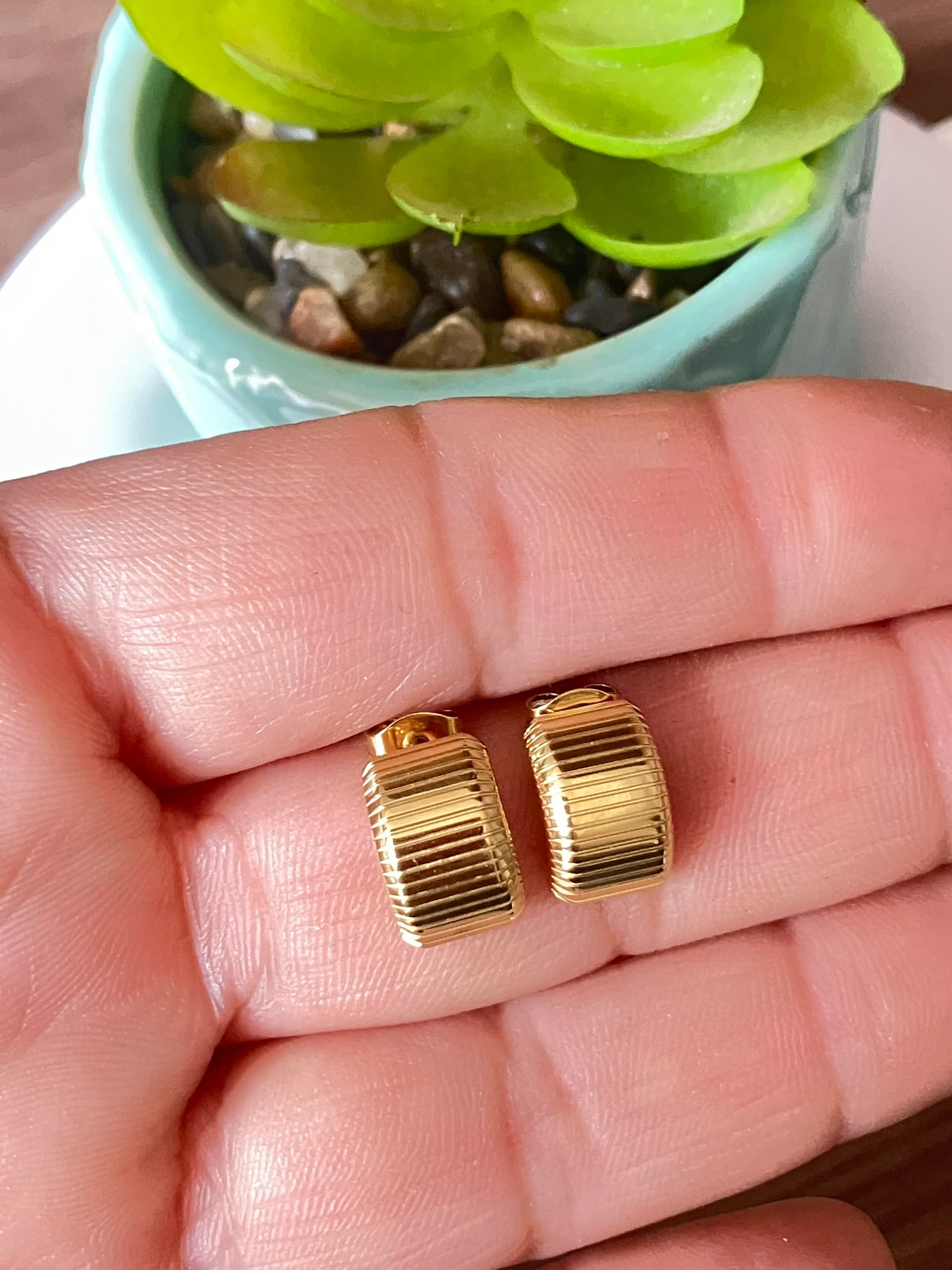 Aros Topitos